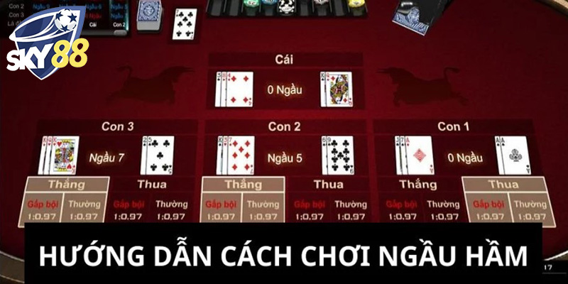 Sòng Bài Sky88 - Cổng Cược Uy Tín Cùng Game Poker Texas Hold’em Cực Hot